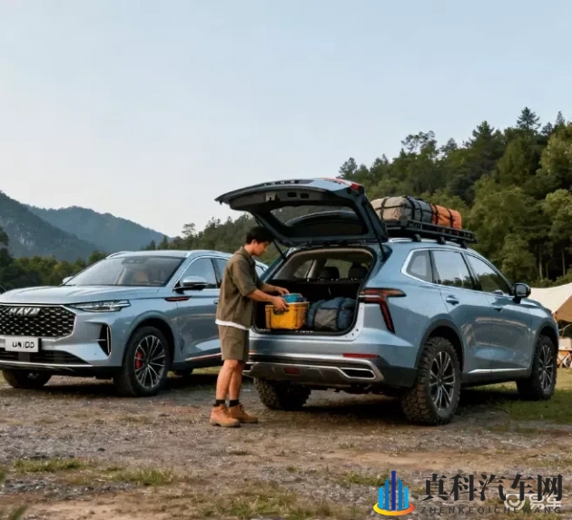 韩国成人网站：汽车营销新招：成人网站成宣传奇兵-1