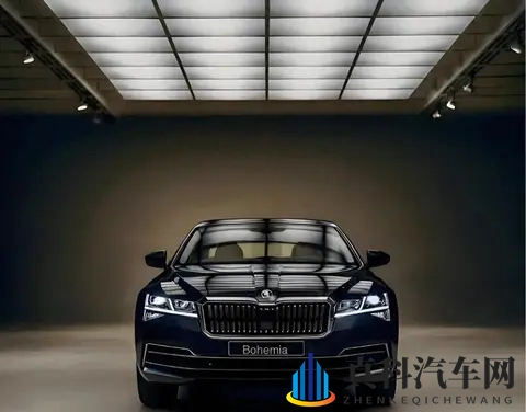 欧美屁眼：汽车革新，欧美市场引领未来出行潮流-2