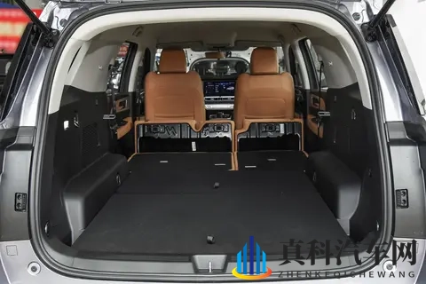 能拉货能越野，价格是坦克300的一半，配20T+8AT，分时四驱-2