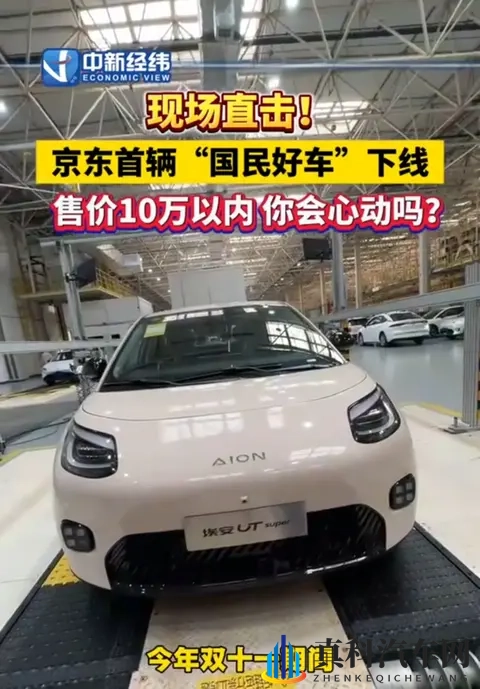 京东首款“国民好车”下线，53秒产一辆。首辆车半月前7800万拍出-2
