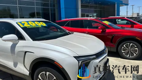 10月,美国电动车销量暴跌43%-1