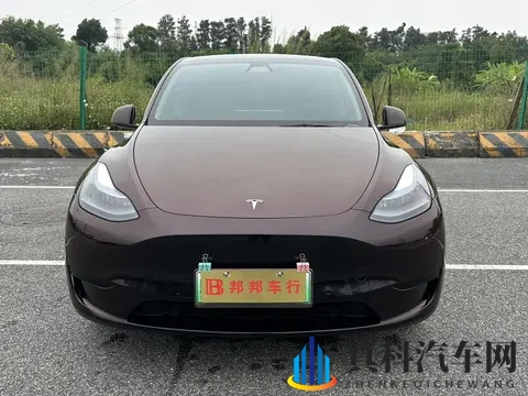 15万拿下特斯拉Model Y，9万公里，圆你“电车梦”-2