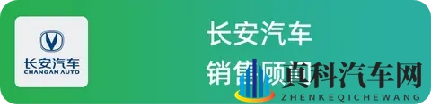 国产燃油车卖得怎么样？5位销售一起聊聊实际情况-3