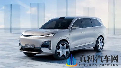 各有千秋!深蓝S09对比领克900,谁才是更适合家用的大型SUV?-3