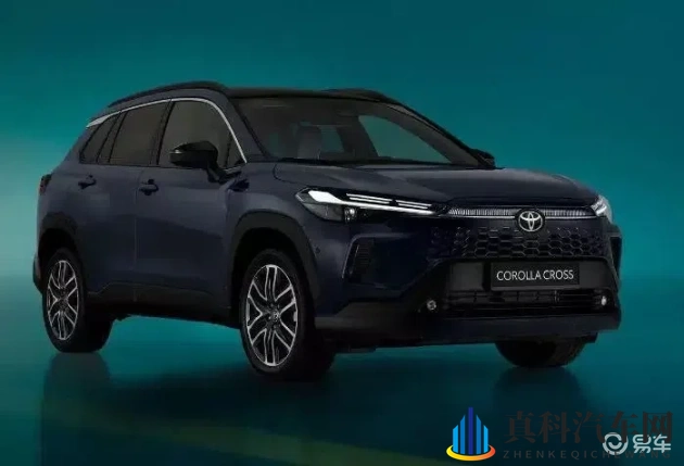 张柏芝奶头被陈冠希吃奶了吗:特斯拉Model Y热销,新能源汽车引领潮流-2