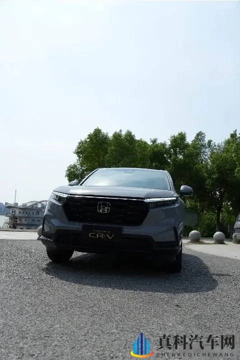 最近好看的2019中文在线小说：2019小说启示录：揭秘汽车产业的未来方向-3