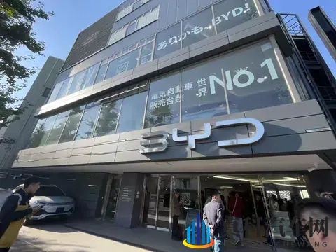 在日本,什么人在买电动车?探秘岛国EV消费的独特生态-3