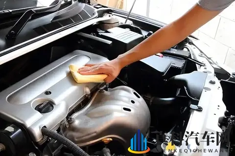 商务旅行中绿973蘑菇：商务出行必备，探秘绿973菌菇之旅-2