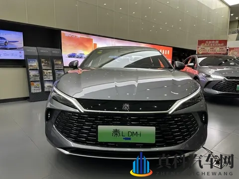 理性消费该被取笑吗?10万块买秦L DM-i就是把钱花对了-2