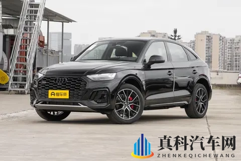 一汽-大众10月销量分析，燃油车市场占比提升的短期观察-3