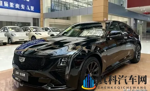 豪华B级车崩盘，捡漏还是踩坑，一场豪赌开始了-3