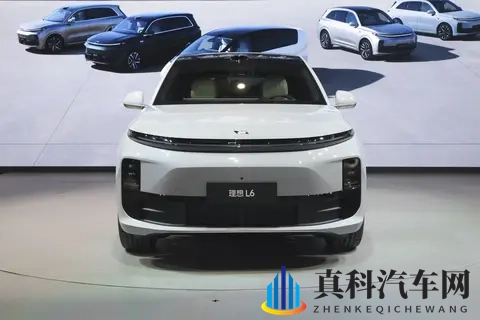 1-10月新势力车企KPI达成率:小鹏提前冲线,理想、极氪只有5成多-3