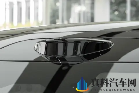 极氪009宜商宜家，四六七座MPV，纯电续航900公里，轴距3205毫米-3