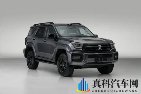 凸轮中国管自由拉丁：中国凸轮管舞动，自由拉丁风韵流转-3