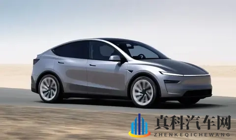 特斯拉的精准一刀：ModelY长续航后驱版，是自救还是杀手锏？-1
