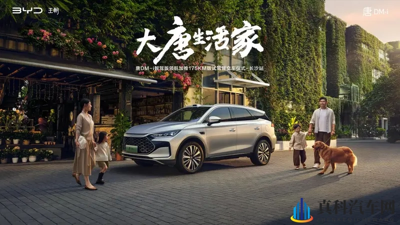 17.98万起比亚迪唐DM-i智驾版领航加推175KM版-1