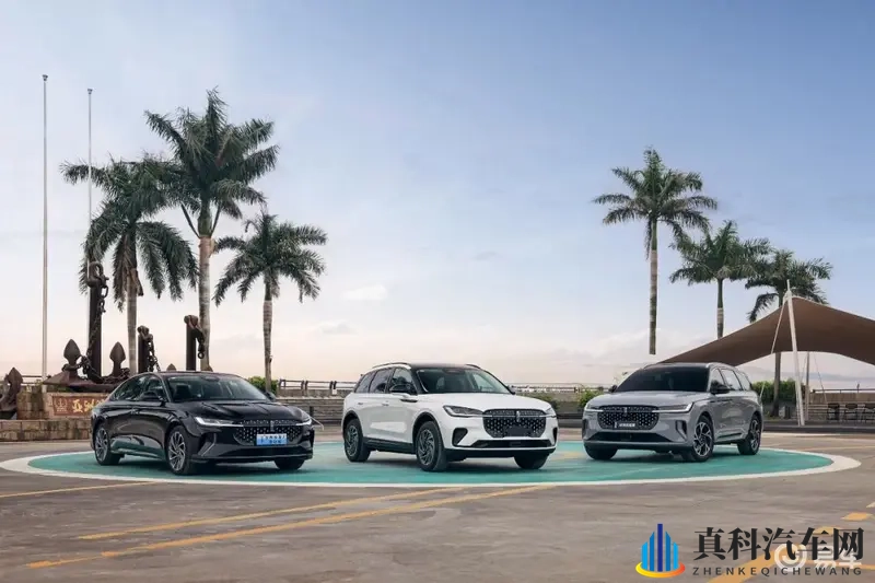 豪华、高性能、大空间、省油,一辆车就能全部满足!-1