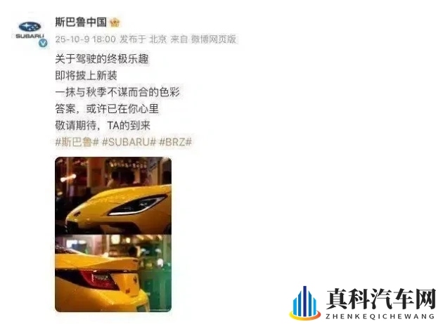 Free哆拍拍免费视频观看20:科技新宠亮相,混合动力车型引领未来出行潮流-3