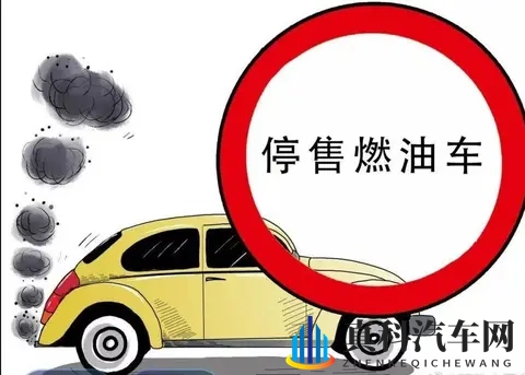 反差婊吃瓜黑料热门网曝：选车避坑指南，这些细节要注意-2