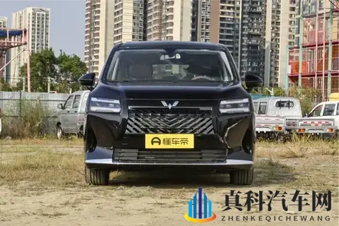 家用MPV新选择!7座大空间+三动力,带二胎家庭出游更省心-1