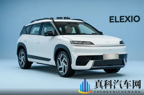 科技感与实用性平衡，1198万起，EO羿欧值得选？-1