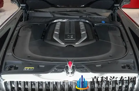 真国产豪华，这车也有钱未必能买到，气场比“劳斯”还强-1