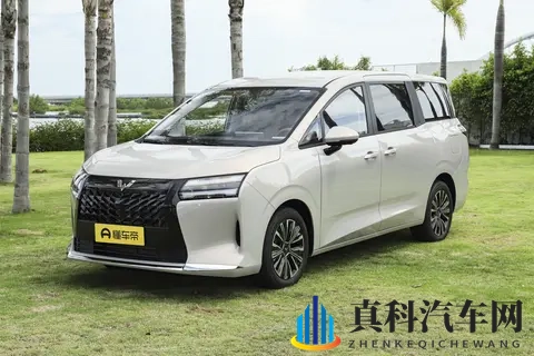 738 万起拿下大 7 座 MPV！买得起、开得爽，家用 MPV 就该这么造-3