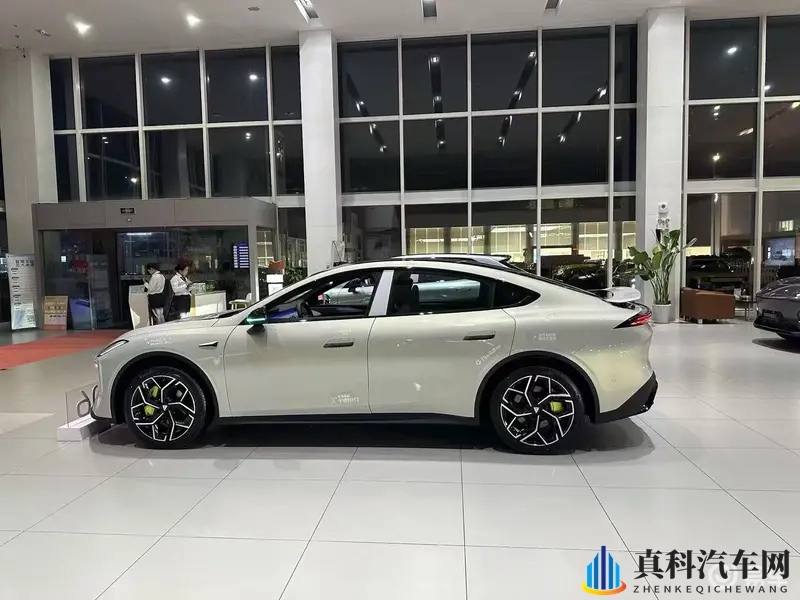 深蓝L06新车主-1