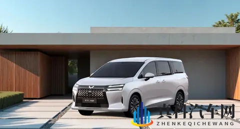 MPV市场“上强度” 第四季度多款新车来袭 北汽锐胜M8配四种动力-1