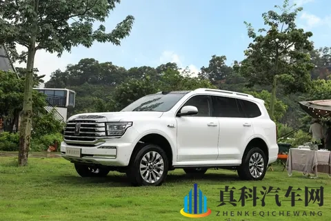 谁才是国内“越野一哥”?坦克、方程豹、猛士10月销量出炉-3