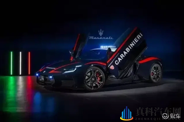 丰满女人和雄性宠物交：富态女性与雄性宠物互动场景-1