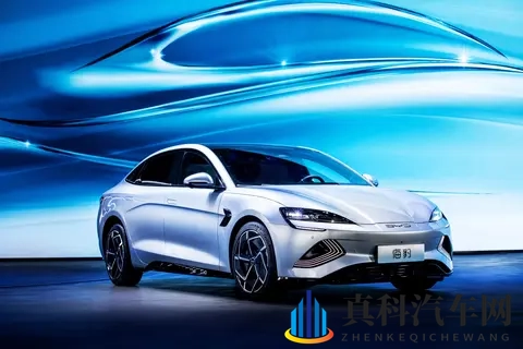 比亚迪红利落幕:技术护城河消失殆尽,谁动了它的蛋糕?-3