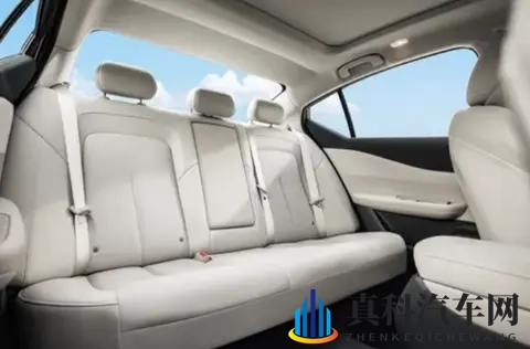 男女一起搓搓：共享驾驶，情侣新风尚-2