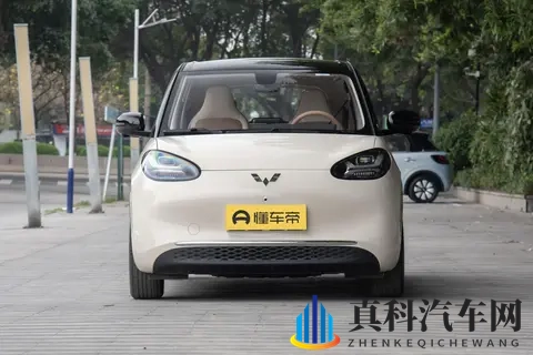 五菱缤果选买建议：满足不同需求的购车指南-3