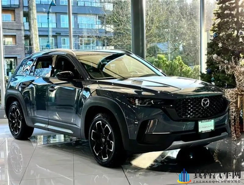 一边c岳一边说粗话：C岳新车型：驾驶乐趣引热议-3