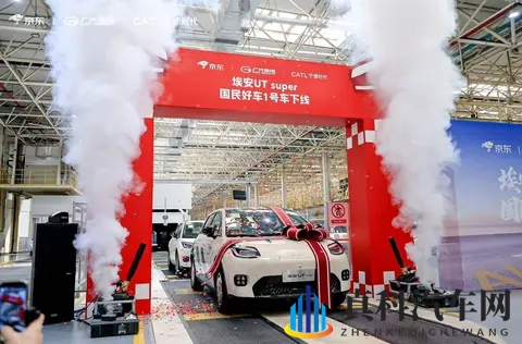 一个释放蝌蚪的网站:科技赋能环保,绿色出行新篇章-2