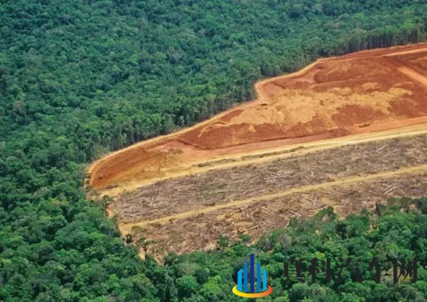 精东影业秘 国产传媒：本土影视幕后，华语媒体故事-2