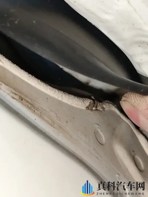 欧拉5预售，侯明昊共赴热爱1098万起树A级纯电标杆-1