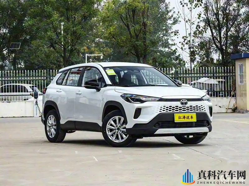 传媒春节回家相亲孟孟：传媒子女春节回乡寻缘记-1