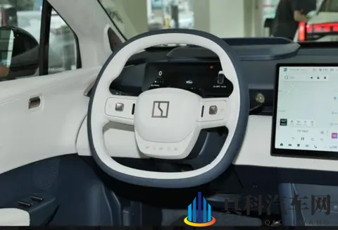 新款极氪X要上市!新色+37秒破百,15万级值吗?-2