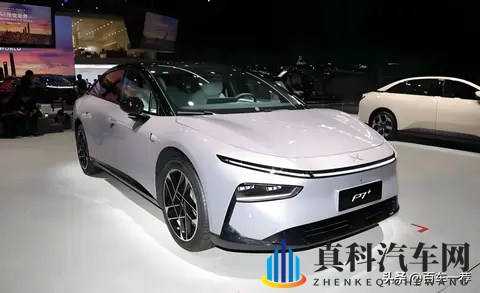 汽油车明年将迎来大洗牌，能“活下来”的品牌或不超5个-3