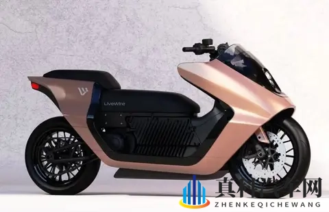 哈雷和光阳合作的运动踏板啥时候出来?-2