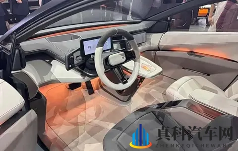 卡罗拉概念车曝光!这造型年轻人直接看呆了-2