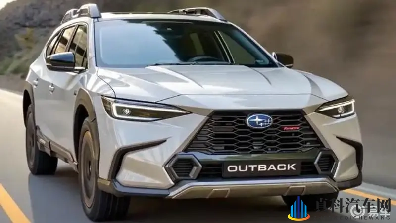 美女扒开腿 裸体网站:窈窕佳人,私密空间,在线分享-1