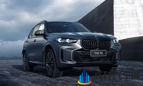 怎一个惨字了得！1-9月中大型SUV销量榜 仅一款销量过十万 豹8上榜-3