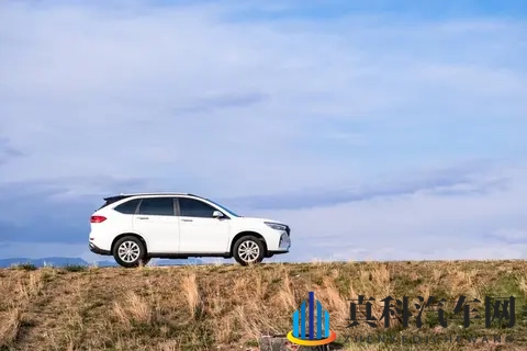 2026年汽车购置税补贴重磅调整!车主抓紧行动-2