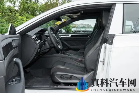 大众CC 2026款，普通版本你会选择哪一款？-2