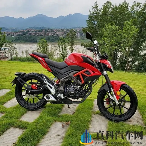 2025摩托车新手入门全攻略 法规解读+车型推荐+装备清单+驾驶技巧-3