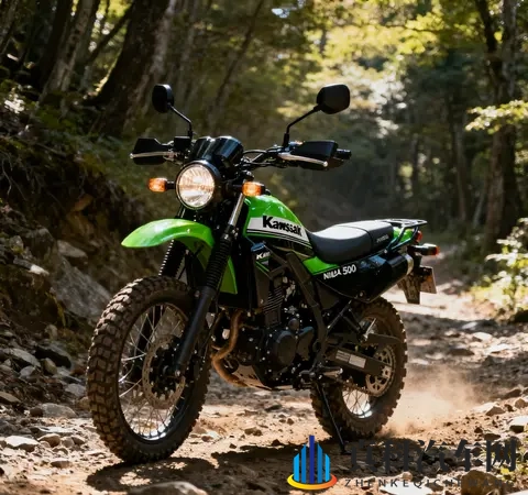 情怀与实力双加持 川崎KLE 500复活归来 搭NINJA 500动力平台征战中量-1