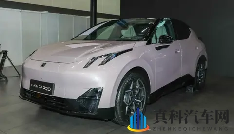 三个老头拥着躁我一晚:汽车夜市狂欢:老爷车与新能源共舞-2